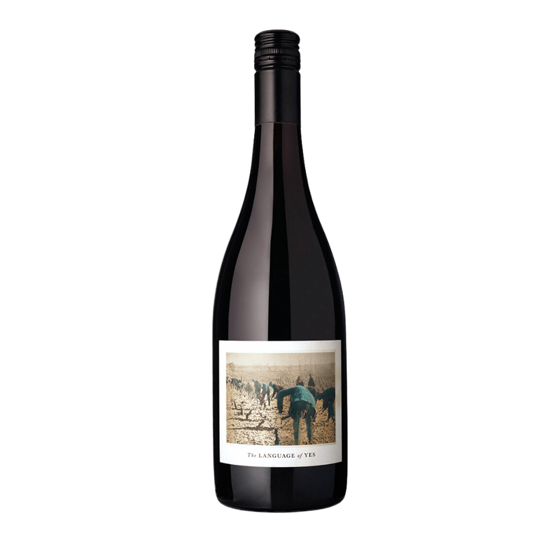 The Language of Yes Grenache 2022 - ShopBourbon.com